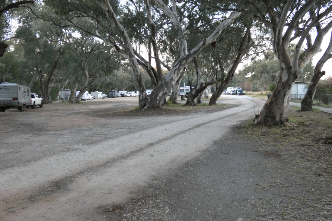 p003b.jpg
