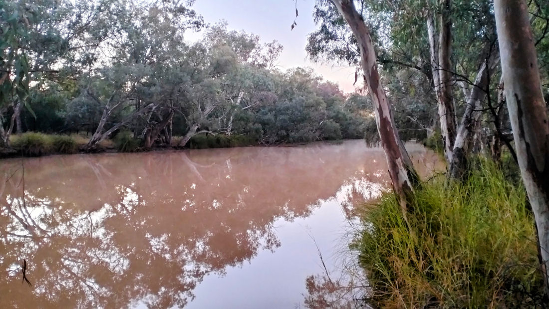 p003c.jpg