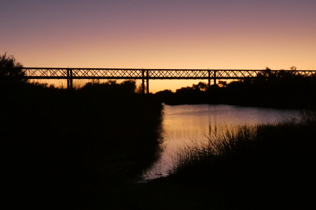 p029.jpg