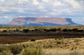p040t.jpg