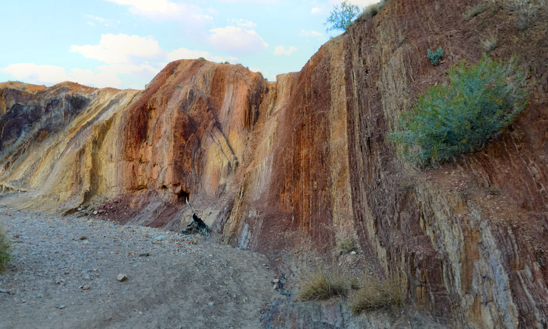 p079.jpg