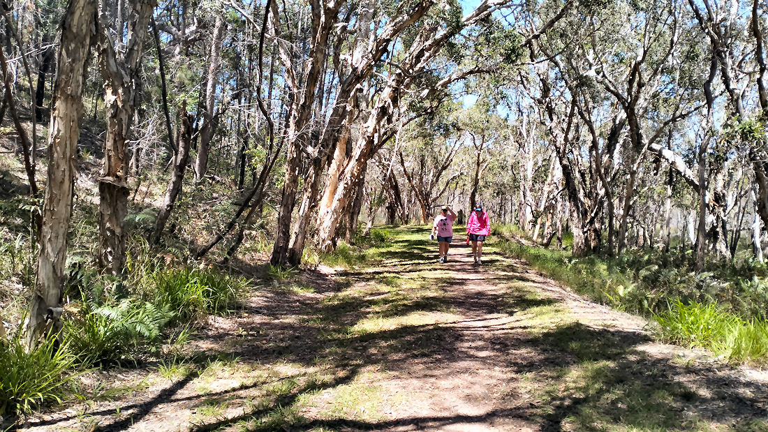 p004.jpg