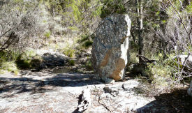 P003-01-T-2012-04-03.jpg
